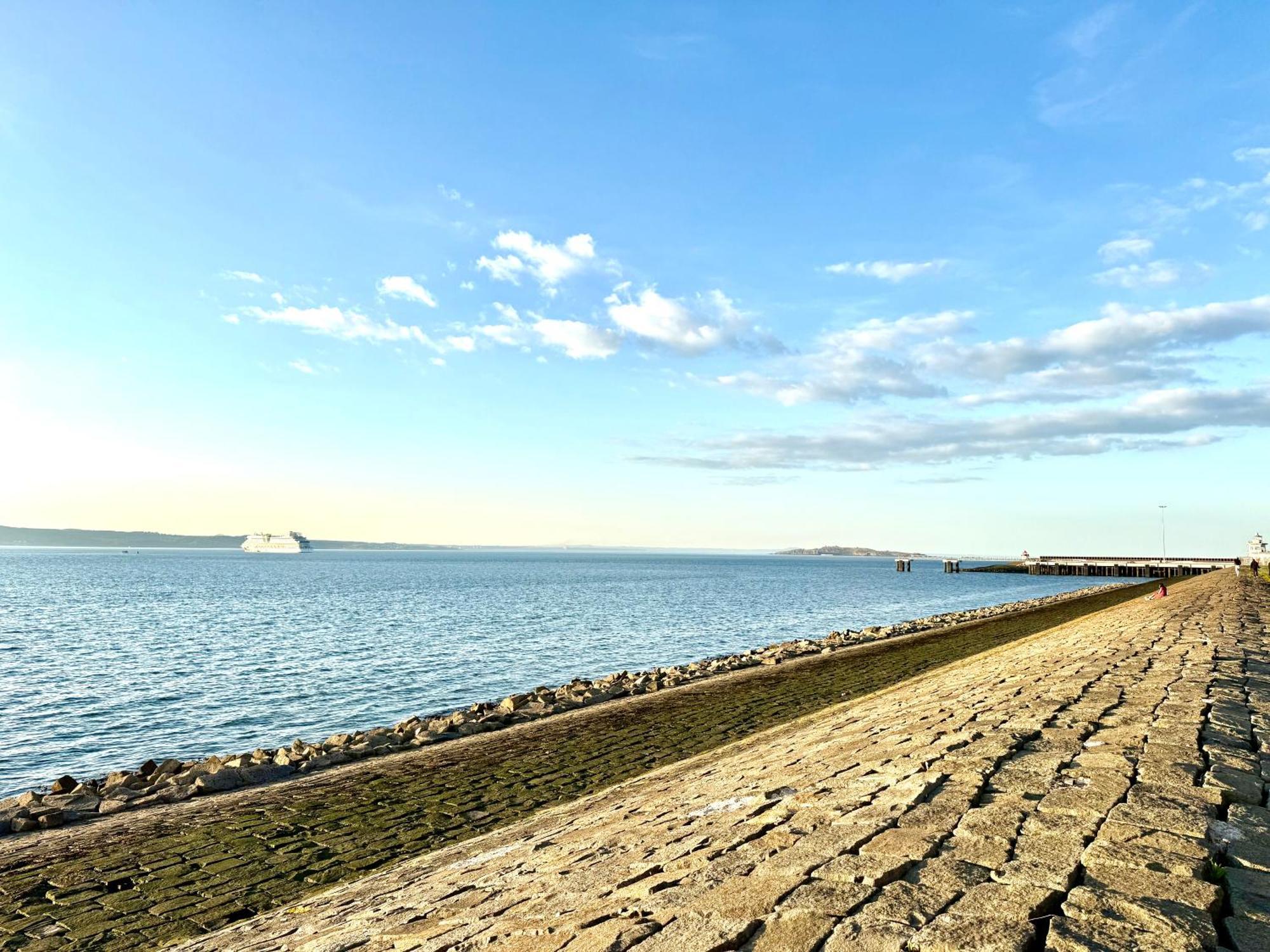 Ocean Park Apartments - Oceanfront - Free Parking And Fast Wifi Edinburgh Ngoại thất bức ảnh